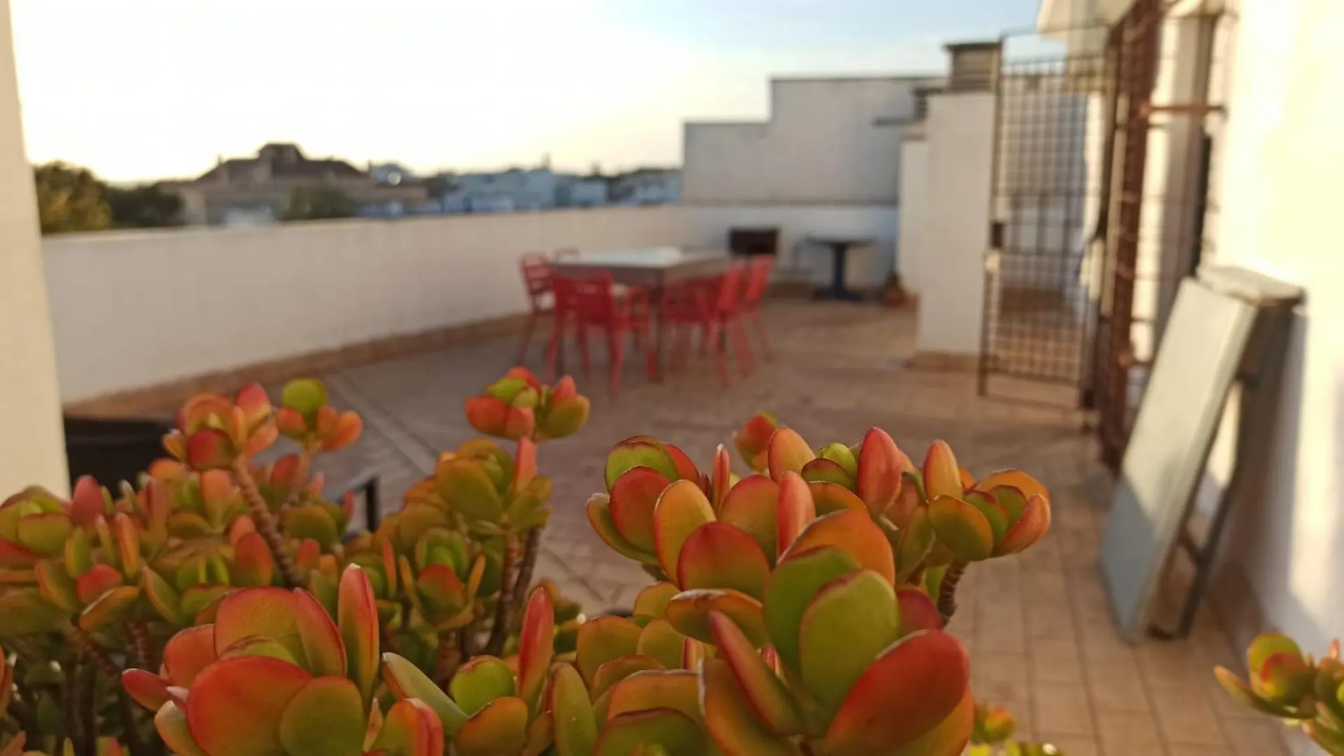 Apartment Atardeceres Surenos - Gran Terraza - Parking Jerez de la Frontera